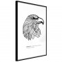 Eagle of Freedom [Poster]