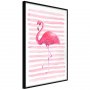 Flamingo and Stripes [Poster]