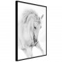 White Horse [Poster]