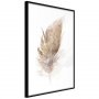 Lost Feather (Beige)