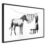 Banksy: Washing Zebra [Poster]