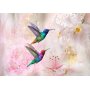 Fototapetti - Colourful Hummingbirds (Pink)