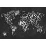 Fototapetti - Modern world map - black and white continents with English names