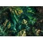 Fototapetti - Emerald Jungle