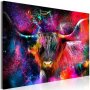 Taulu - Colorful Bull (1 Part) Wide