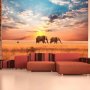 Fototapetti - African savanna elephants