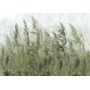 Fototapetti - Tall Grasses - Green