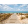 Fototapetti - Vacation Landscape - Wooden Path Leading to the Tranquil Sea