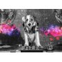 Fototapetti - DJ Dog