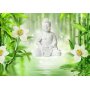 Fototapetti - Buddha and nature