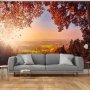 Fototapetti - Autumn delight - sunny landscape with countryside surrounded by trees and fields