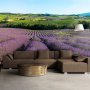 Fototapetti - Lavender fields
