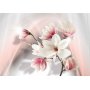 Fototapetti - White magnolias