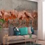 Fototapetti - Exotic birds - pink flamingos with shadow on grey concrete background