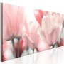 Taulu - Pink Tulips