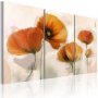 Taulu - Artistic poppies - triptych