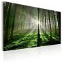 Taulu - Emerald Forest II
