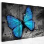 Taulu - The study of butterfly - triptych
