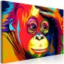 Taulu - Colourful Orangutan (1 Part) Wide