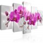Taulu - Abstract Garden: Pink Orchids
