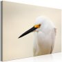 Taulu - Snowy Egret (1 Part) Wide