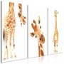 Taulu - Funny Giraffes (3 Parts)