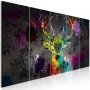 Taulu - Rainbow Deer (5 Parts) Narrow