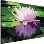 DIY kangas maalaus - Water Lily