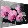 DIY kangas maalaus - Orchid With Zen Stones (Black Background)