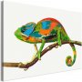 DIY kangas maalaus - Chameleon