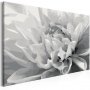 DIY kangas maalaus - Black & White Flower