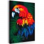 DIY kangas maalaus - Parrot
