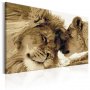 DIY kangas maalaus - Lions In Love