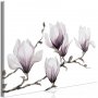 Taulu - Painted Magnolias (1 Part) Wide