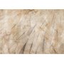 Fototapetti - Birds wings - minimalist close-up on beige feathers with pattern