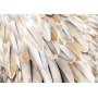 Fototapetti - Close-up of birds wings - uniform close-up on beige bird feathers