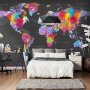 Fototapetti - World map - coloured continents with names in English on a grey background