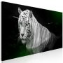 Taulu - Shining Tiger (1 Part) Green Narrow