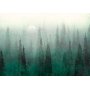 Fototapetti - Birds eye perspective - landscape of a green forest with trees in the mist