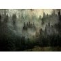 Fototapetti - Misty Beauty of the Forest