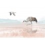 Fototapetti - Cranes Over the Water