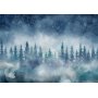 Fototapetti - Night landscape - landscape of a misty forest at night with a starry sky