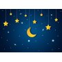 Fototapetti - Skyline - night sky landscape with stars and moon for children