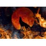 Fototapetti - Wild nature - wolf on a background of a red moon in flames of fire