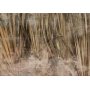 Fototapetti - Dry leaves - landscape of tall grasses in boho style with paint patterns