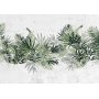 Fototapetti - Jungle and green plume - large tropical leaves on a white background