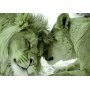 Itseliimautuvat fototapetit - Lion Tenderness (Green)