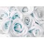 Itseliimautuvat fototapetit - Satin Rose (Turquoise)