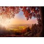 Itseliimautuvat fototapetit - Autumn delight - sunny landscape with countryside surrounded by trees and fields