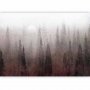 Fototapetti - Birds flight over treetops - landscape of a dark forest in fog